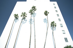 �r���O��